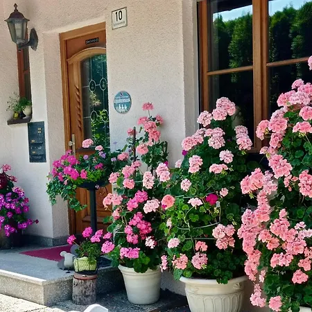 Apartmán Ferienwohnung Blumenoase - Gemuetliche Ferienwohnung Zwischen Allgaeu Und Bodensee Sigmarszell